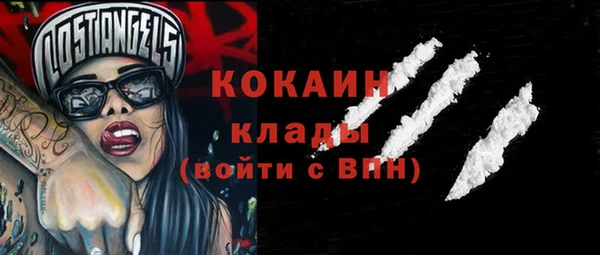 гашик Арсеньев
