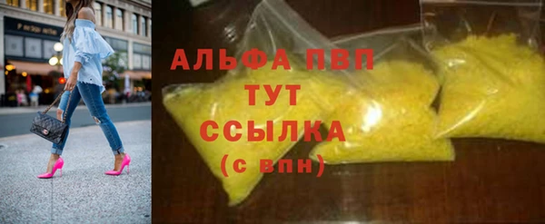 гашик Арсеньев