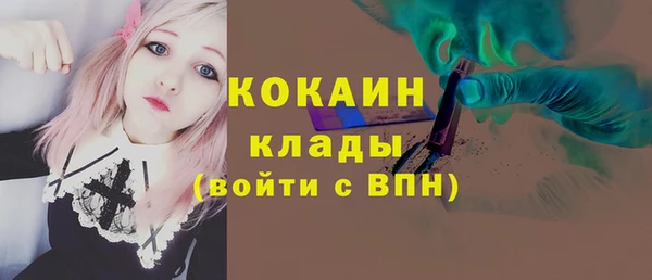 гашик Арсеньев