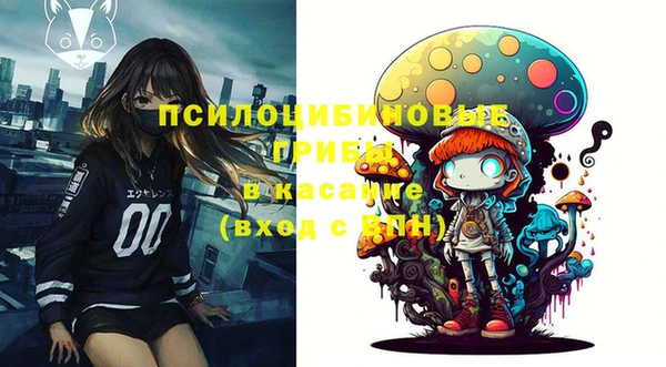 гашик Арсеньев