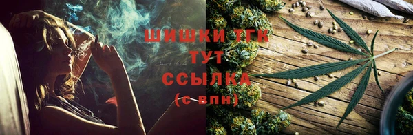 ПСИЛОЦИБИНОВЫЕ ГРИБЫ Аркадак