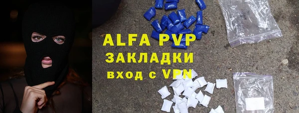 гашик Арсеньев