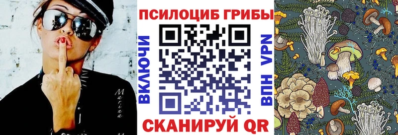 закладка  Правдинск  Галлюциногенные грибы Psilocybe 