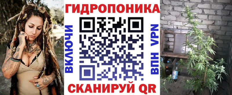 закладка  Правдинск  Бошки марихуана марихуана 